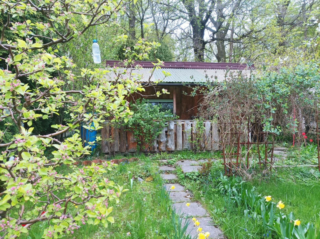 Działka rod Olsztyn. Zdjęcie 1