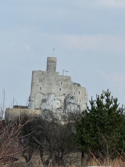 Działka rolna Mirów. Zdjęcie 5