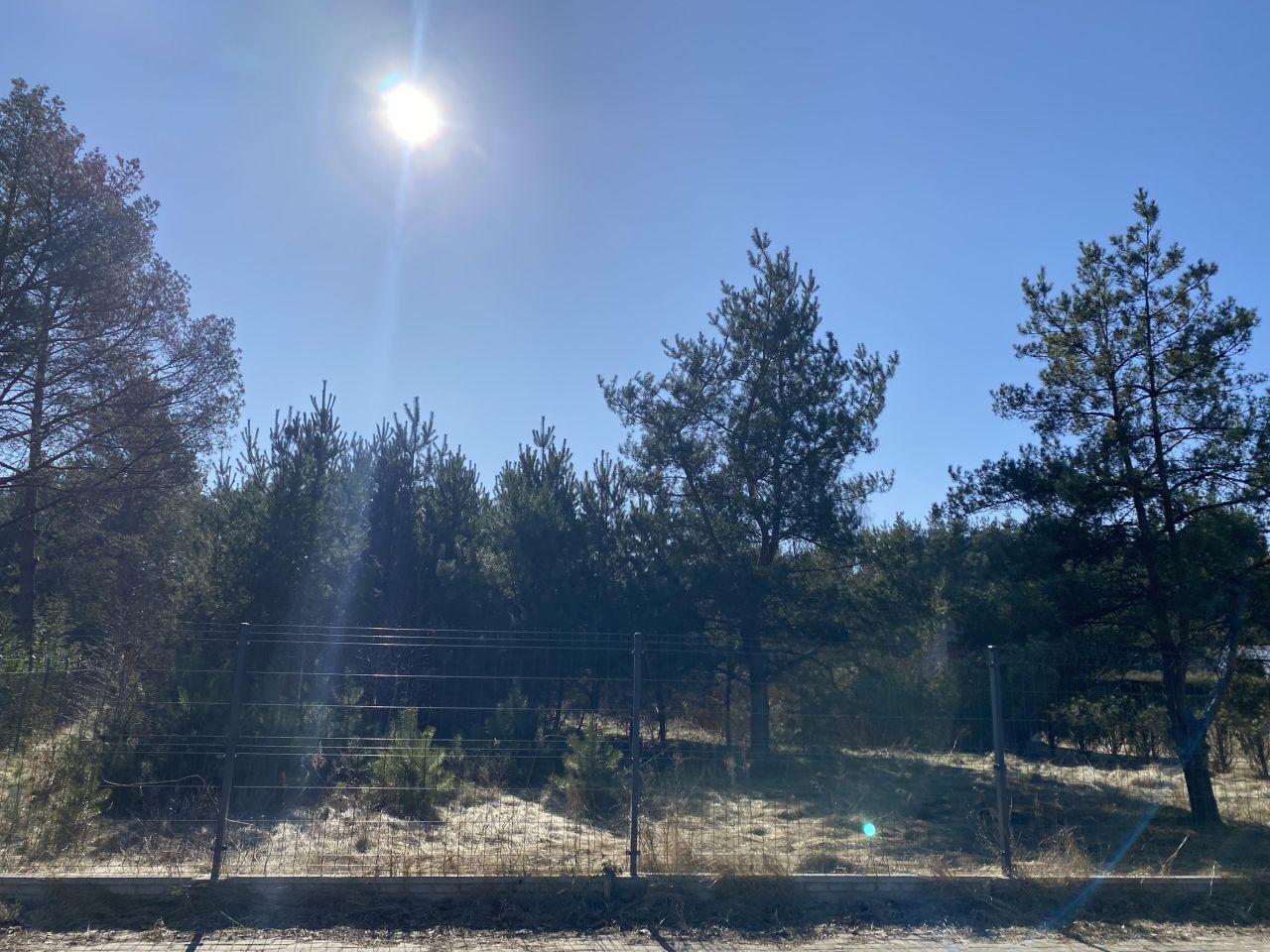 Działka budowlana Kaliska. Zdjęcie 4