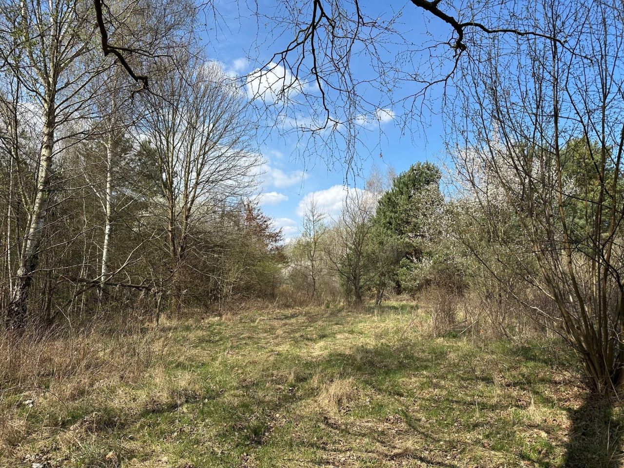 Działka rolno-budowlana Wąchock, ul. Tychowska. Zdjęcie 6