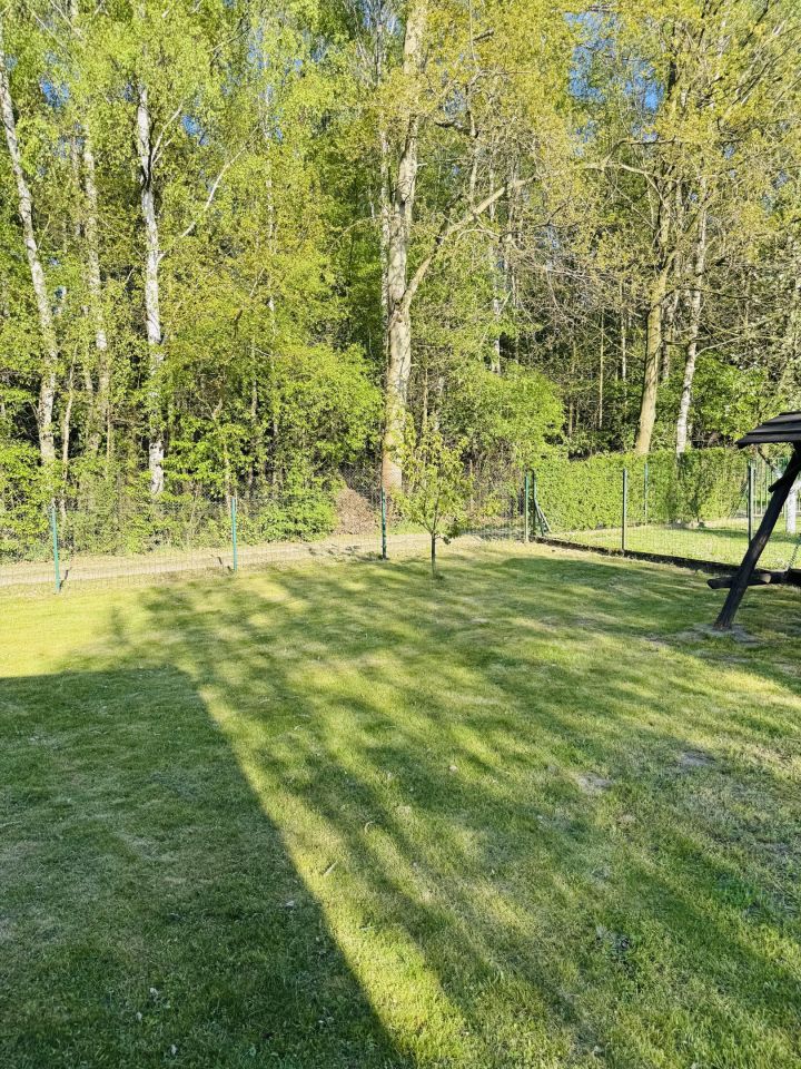 Działka rod Pyskowice, ul. Zaolszany. Zdjęcie 13