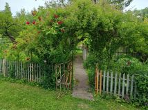 Działka rod Radom, ul. Kielecka. Zdjęcie 4