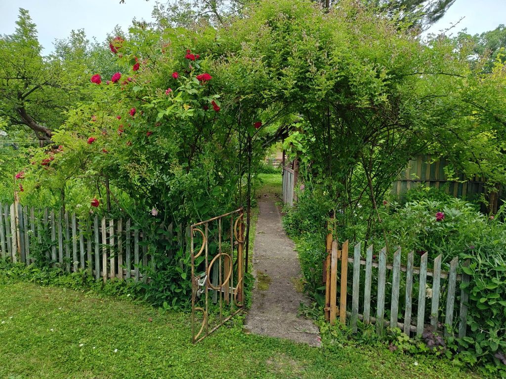 Działka rod Radom, ul. Kielecka. Zdjęcie 5