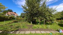 Działka rod Gdańsk Olszynka. Zdjęcie 2