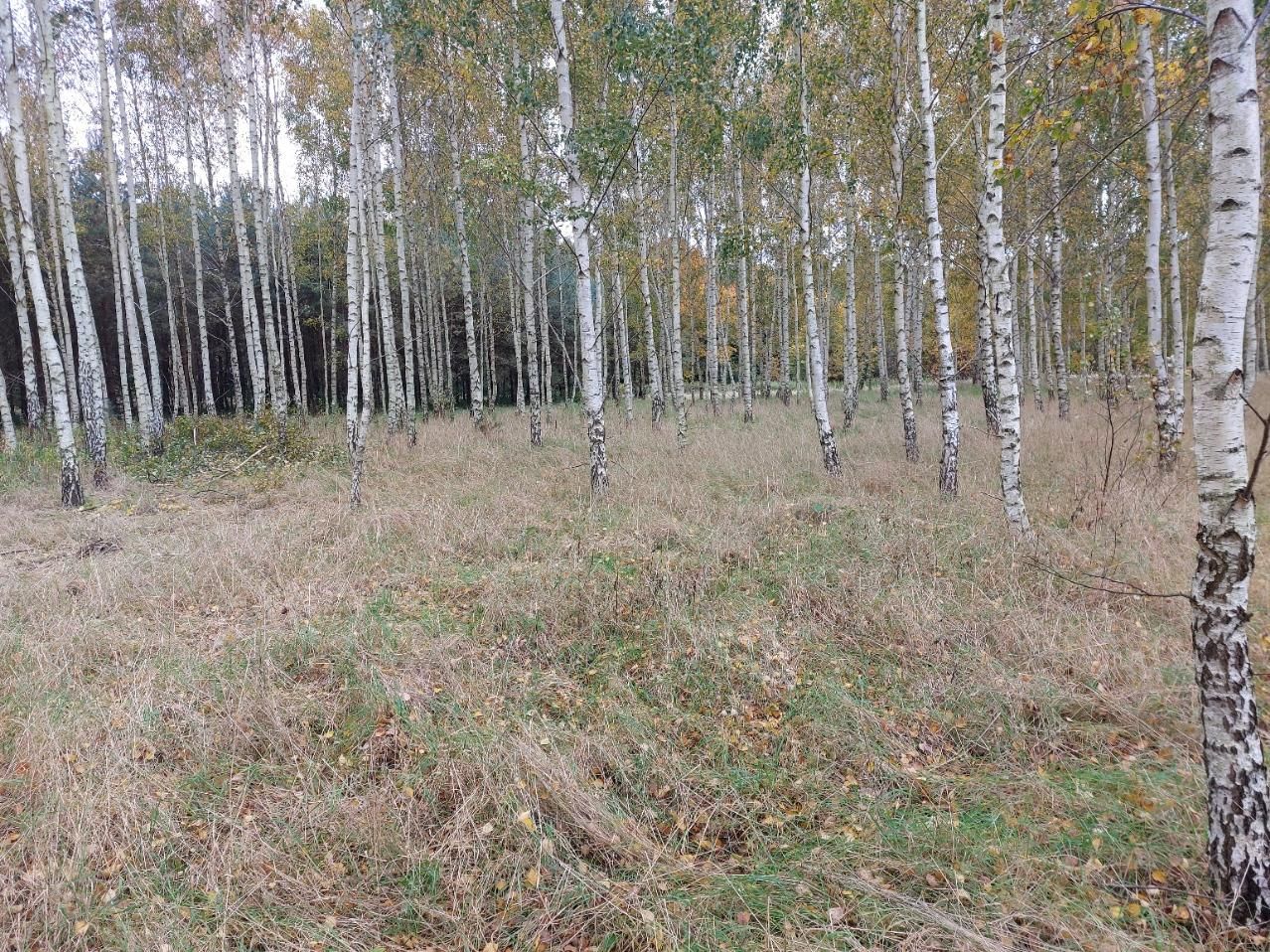 Działka rolno-budowlana Klecewko. Zdjęcie 8