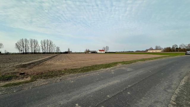 Działka rolna Pajewo Wielkie. Zdjęcie 1