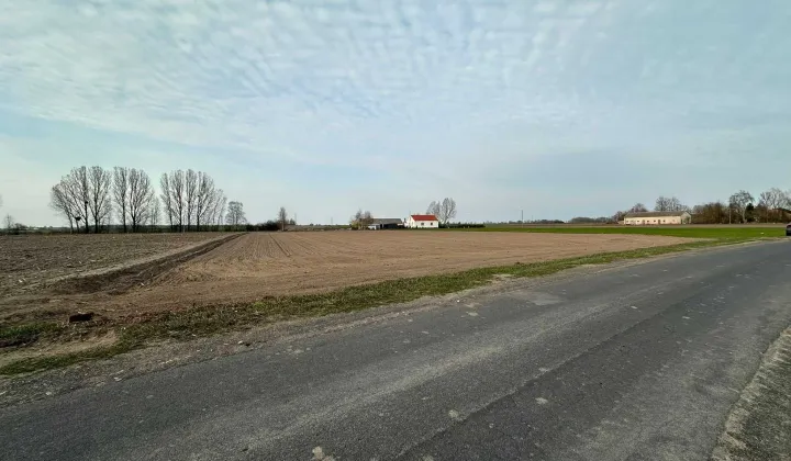 Działka rolna Pajewo Wielkie