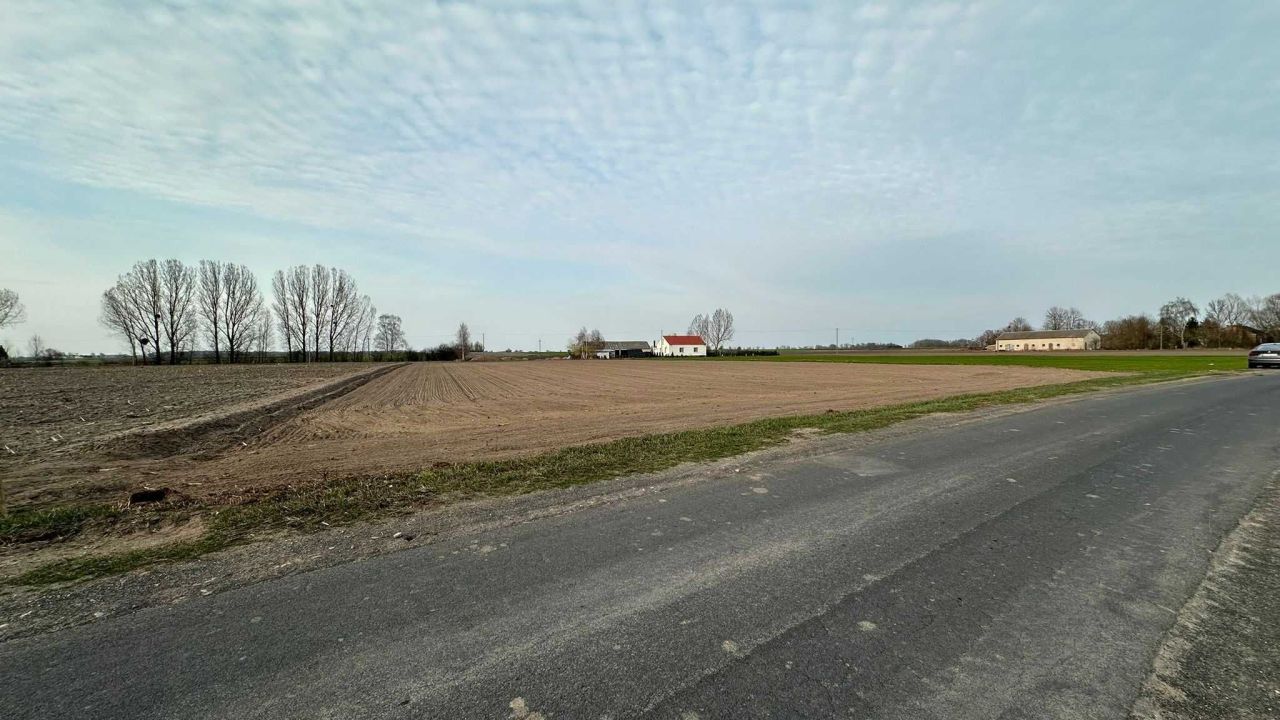 Działka rolna Pajewo Wielkie. Zdjęcie 1