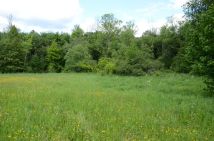 Działka budowlana Skwirtne. Zdjęcie 2