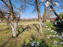 Działka rod Szlichtyngowa, ul. Daszyńskiego. Zdjęcie 2