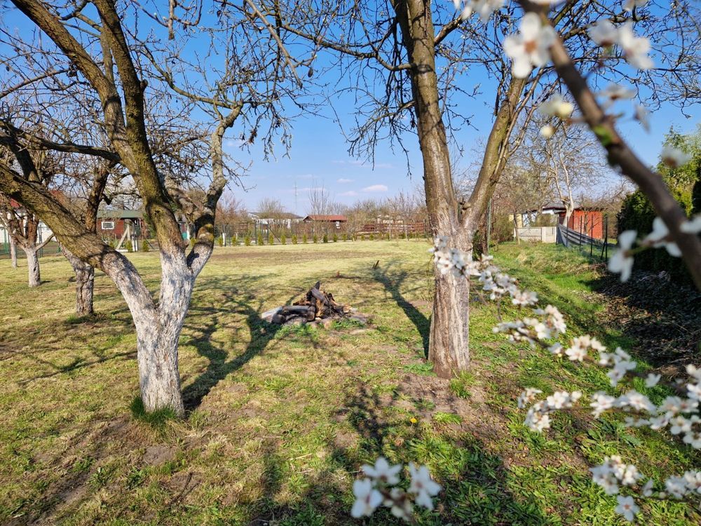 Działka rod Szlichtyngowa, ul. Daszyńskiego. Zdjęcie 3