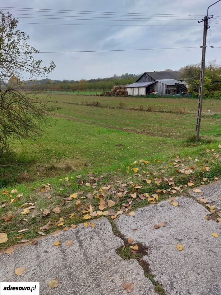 Działka rolna Kolonia Nadwiślańska. Zdjęcie 5