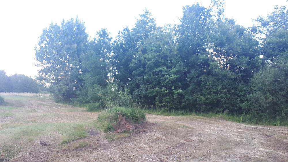 Działka rolno-budowlana Ostrykół Dworski. Zdjęcie 5