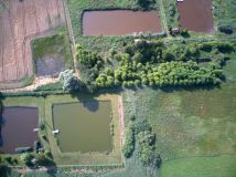 Działka rekreacyjna Łopatki. Zdjęcie 4