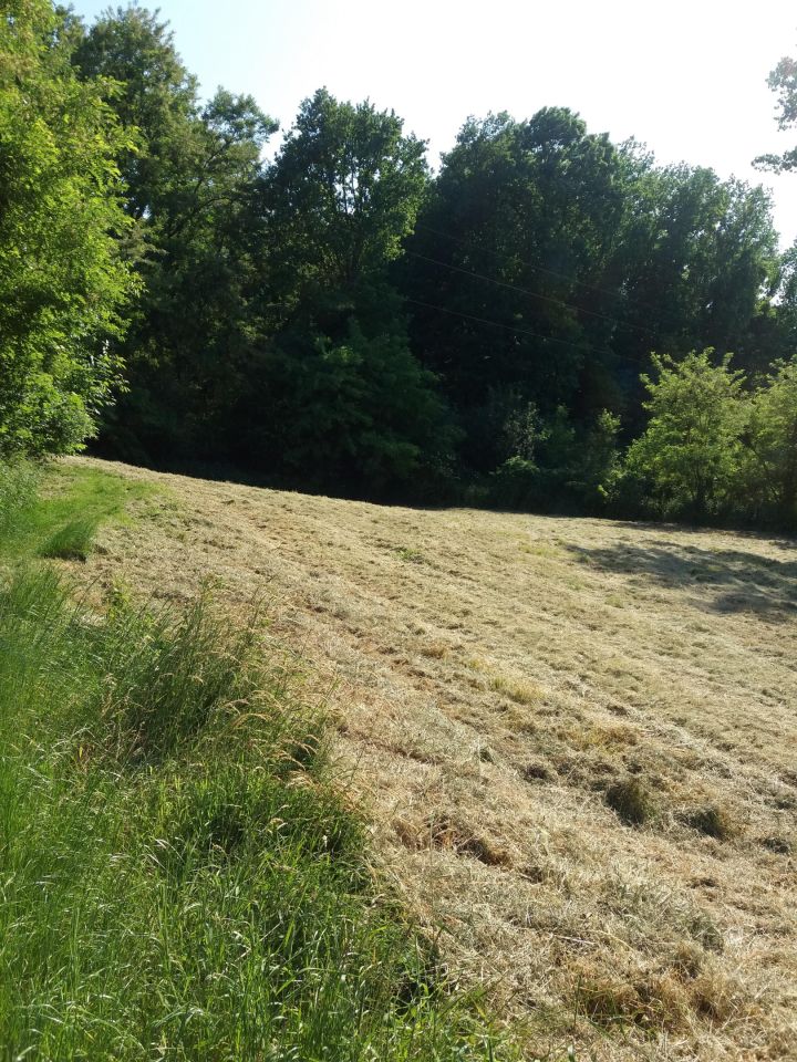 Działka rolna Kraków Podgórze, ul. Stanisława Pronia. Zdjęcie 5