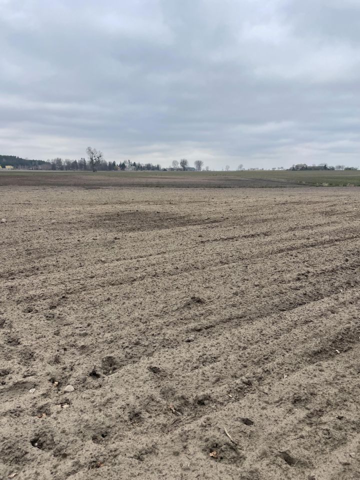 Działka rolno-budowlana Sienno. Zdjęcie 10