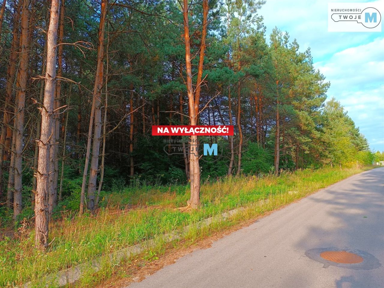 Działka budowlana Radlin Ogrodzenie. Zdjęcie 1