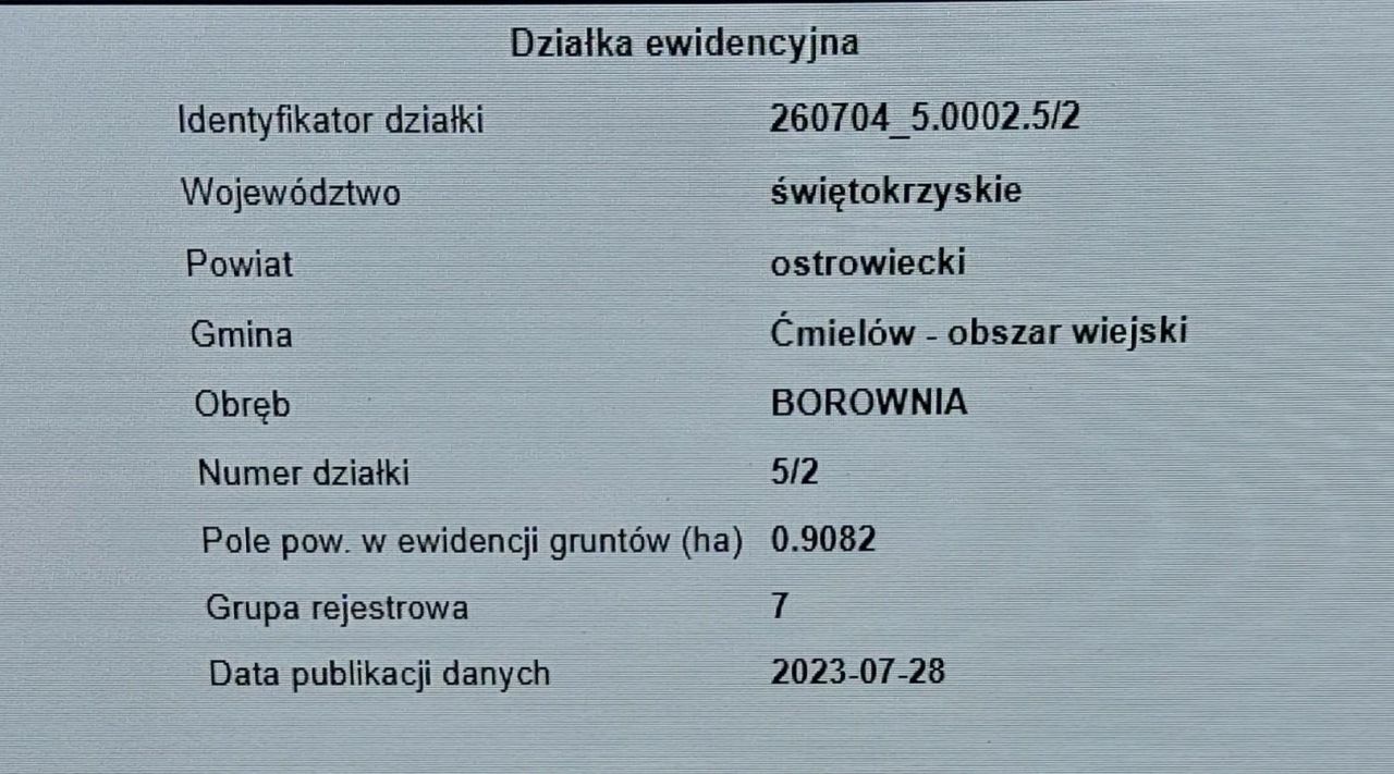 Działka leśna Borownia. Zdjęcie 5