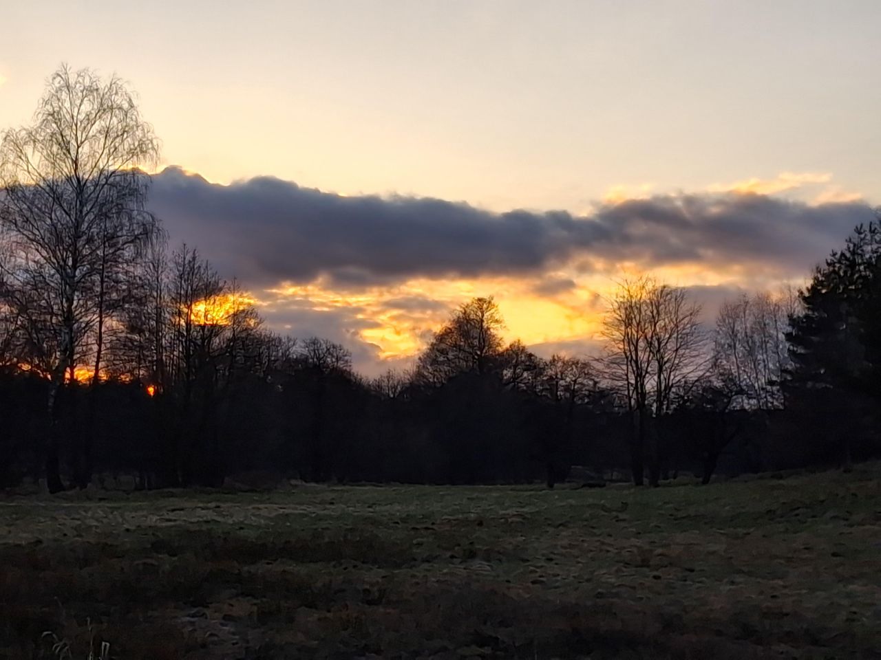 Działka budowlana Wolimierz. Zdjęcie 11