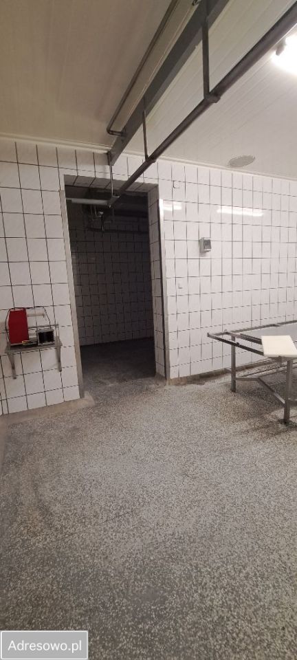 Hala/magazyn Koło, ul. Boguszyniecka. Zdjęcie 16