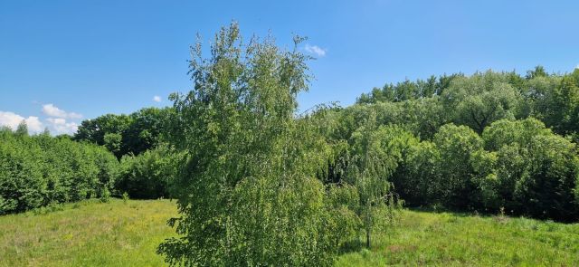 Działka siedliskowa Świdnica. Zdjęcie 1