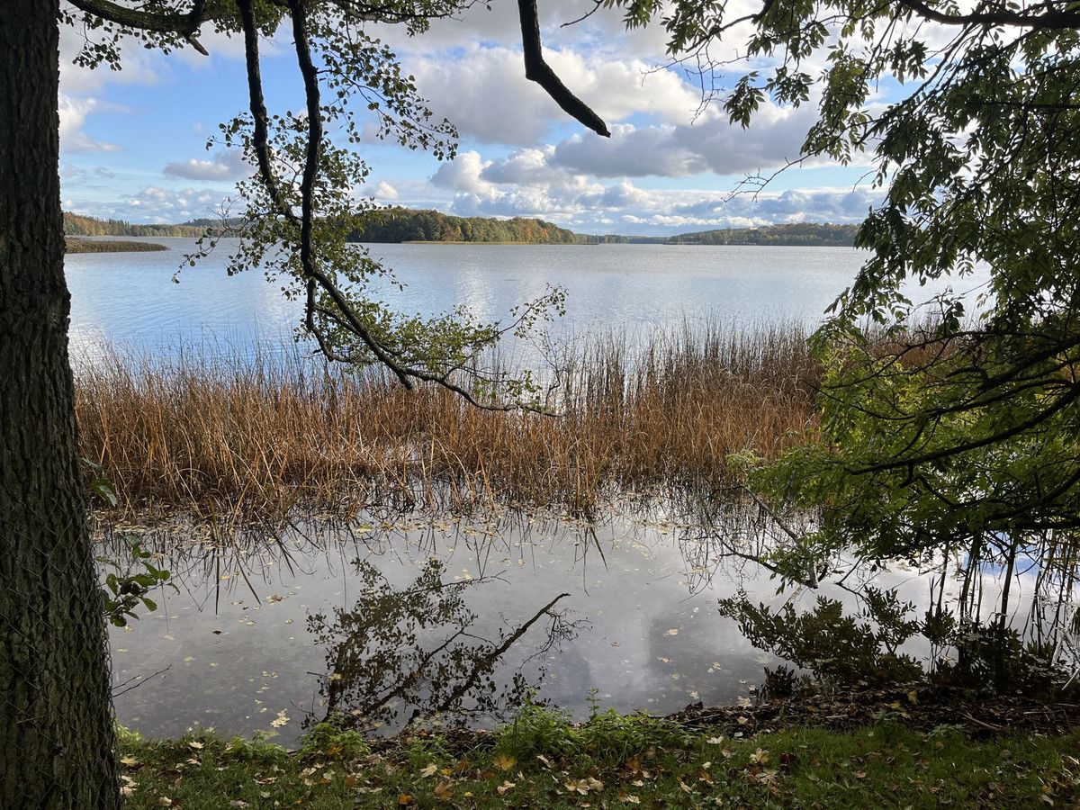 dom wolnostojący Szymanowo. Zdjęcie 6