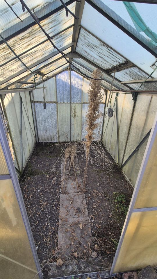 Działka rekreacyjna Kostrzyn nad Odrą Osiedle Leśne, ul. Sportowa. Zdjęcie 17