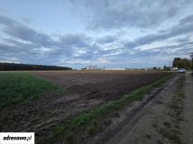 Działka inwestycyjna Gliśnica. Zdjęcie 2