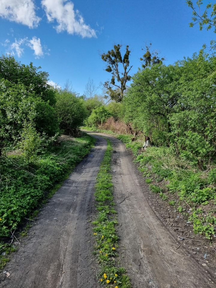 Działka rolno-budowlana Orneta, ul. Morąska. Zdjęcie 7