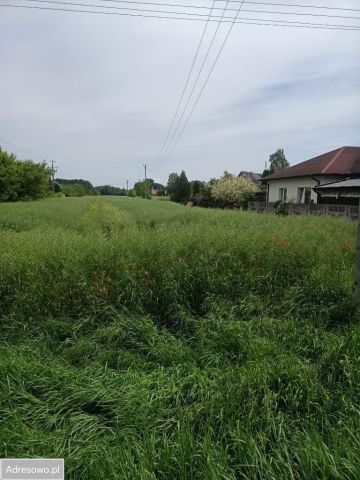 Działka rolno-budowlana Natolin. Zdjęcie 1