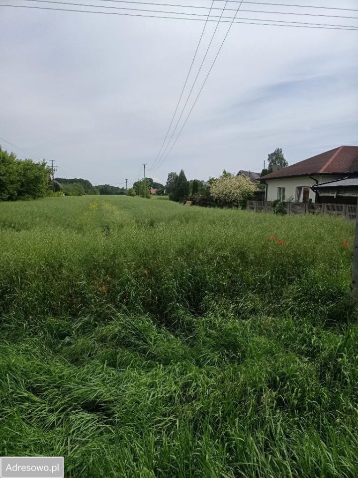 Działka rolno-budowlana Natolin