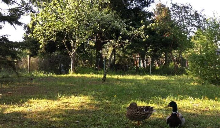 Działka inna Warszawa Mokotów, ul. Jana III Sobieskiego