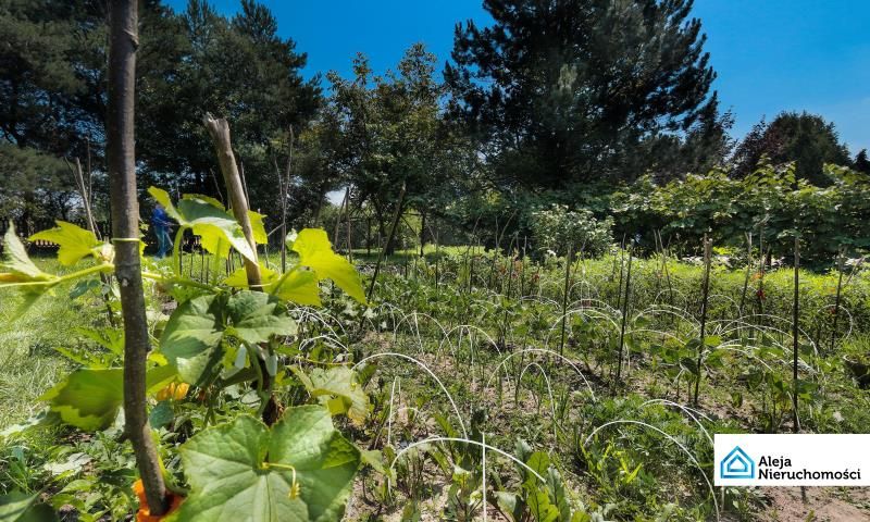 dom wolnostojący, 5 pokoi Mokrzesz. Zdjęcie 7