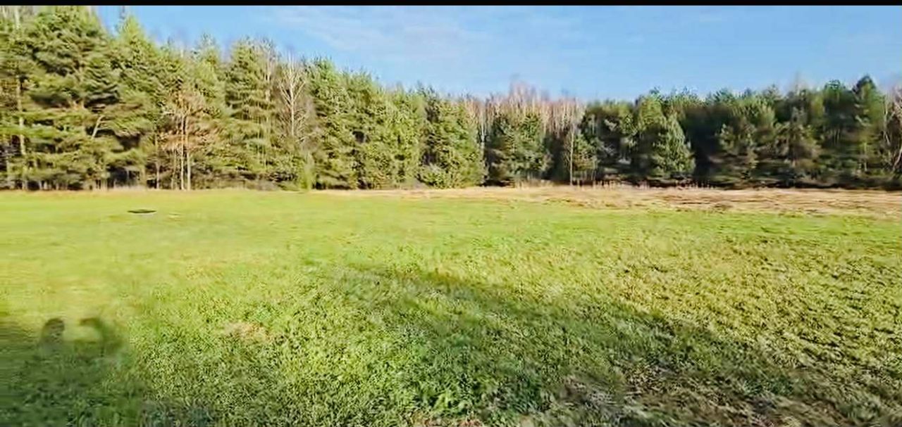 dom wolnostojący, 6 pokoi Kolonia Piaski. Zdjęcie 13