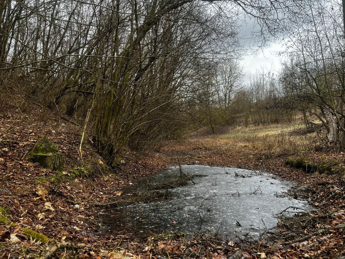 dom wolnostojący, 2 pokoje Stary Garbów. Zdjęcie 7
