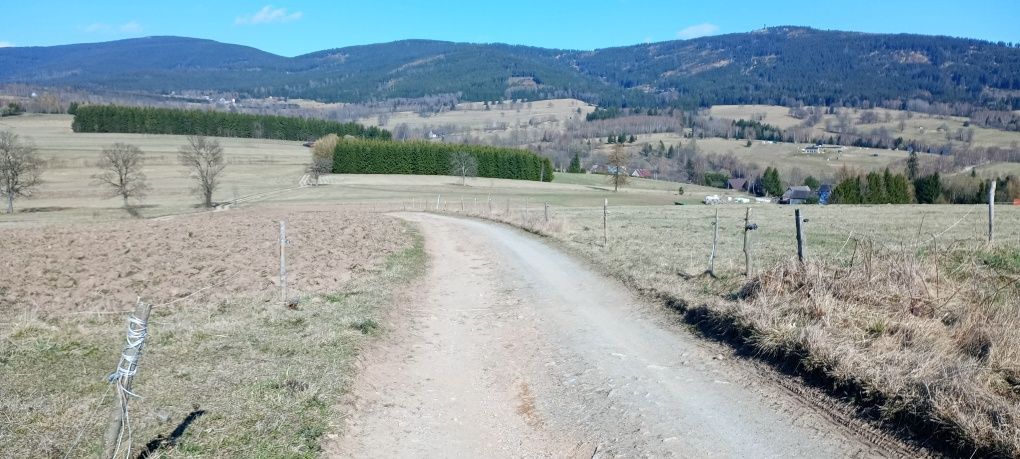 Działka rolna Jodłów. Zdjęcie 7