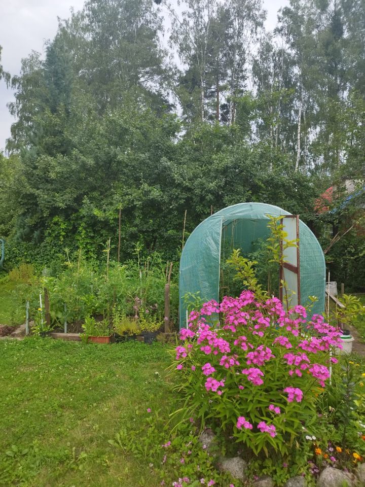 Działka rod Klebark Mały. Zdjęcie 10