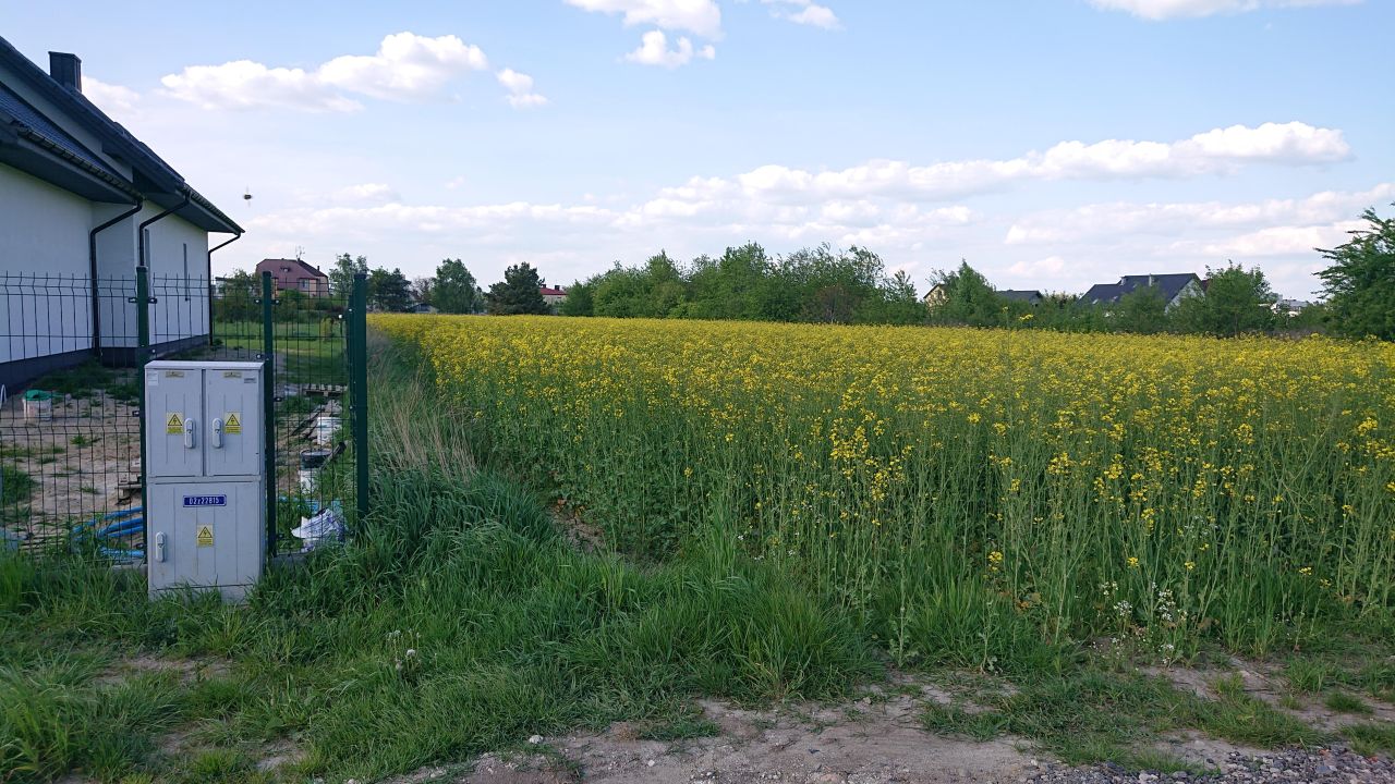 Działka budowlana Łady, ul. Migdałowa. Zdjęcie 12