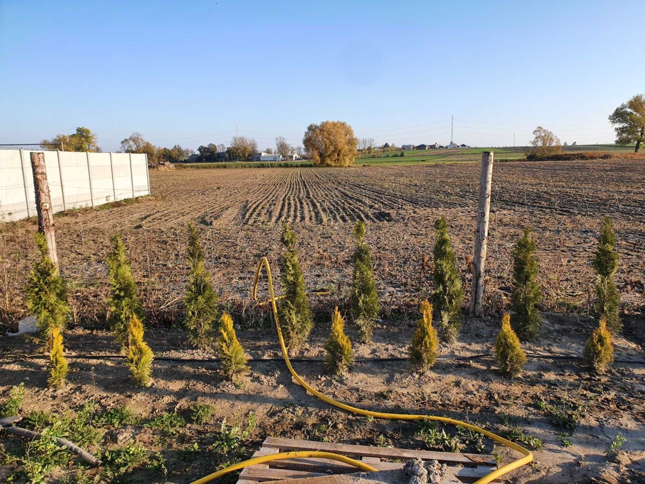 Działka budowlana Trzebisławki. Zdjęcie 6