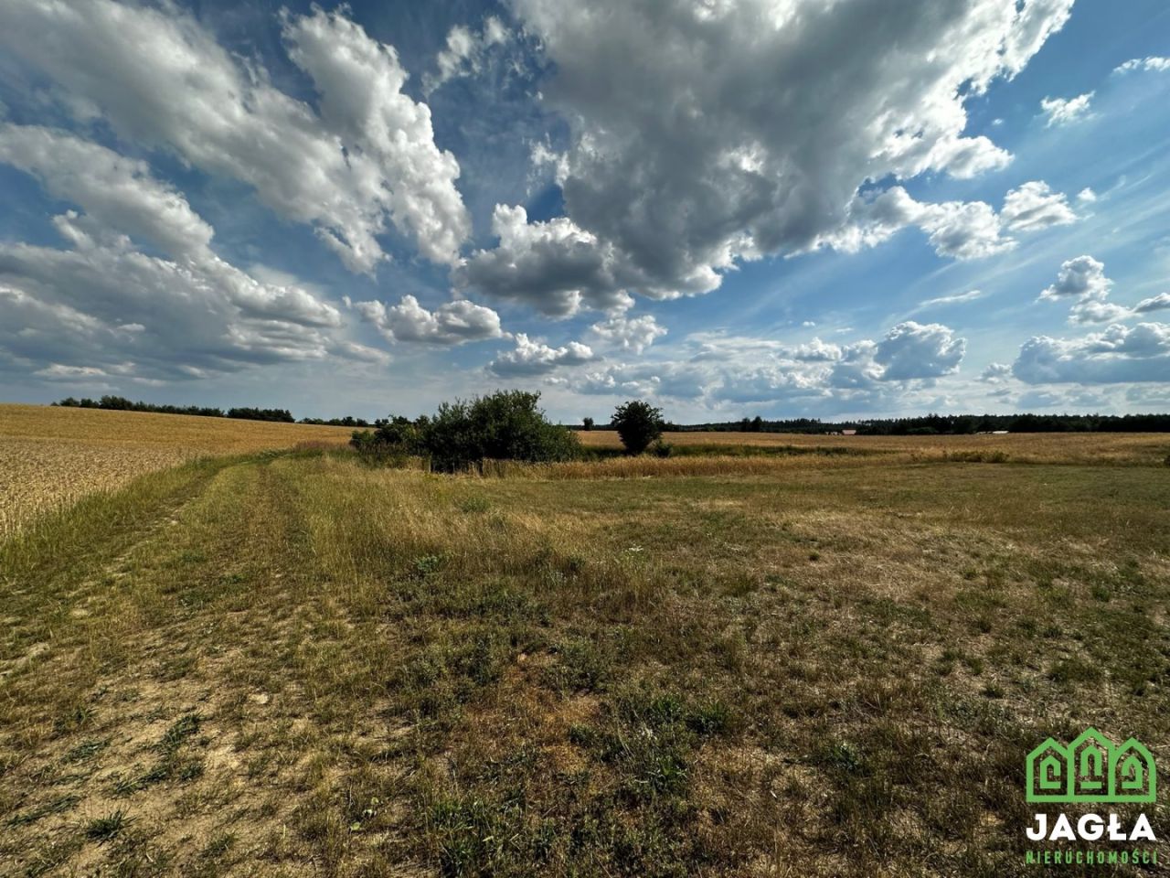 Działka budowlana Stary Jasiniec. Zdjęcie 2