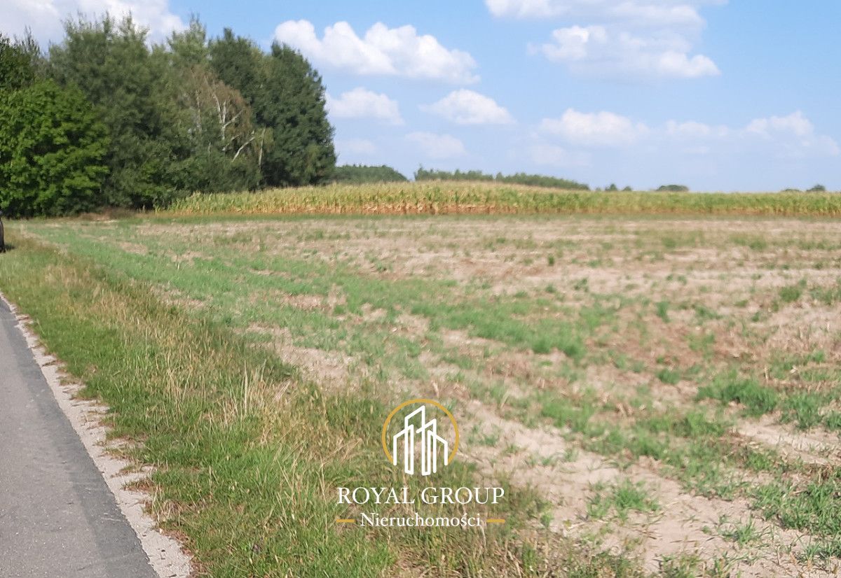 Działka rolna Rudno. Zdjęcie 3