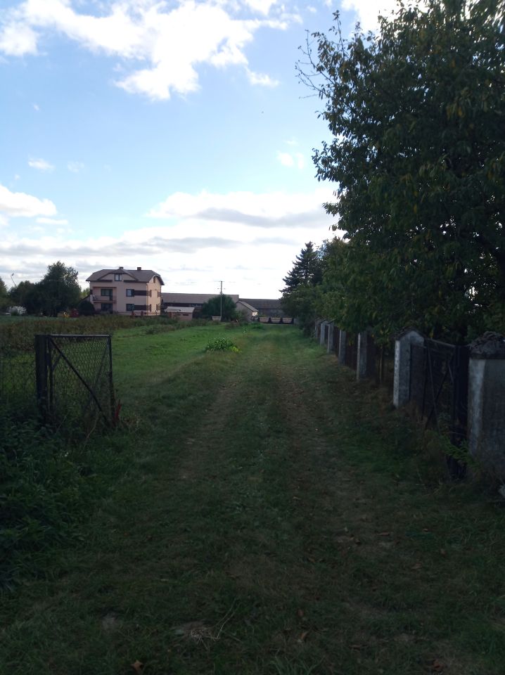 Hala/magazyn Suchodoły. Zdjęcie 9