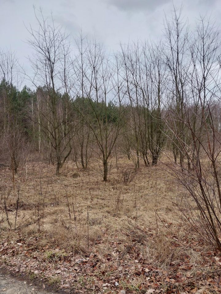 Działka budowlana Modzele-Bartłomieje. Zdjęcie 3