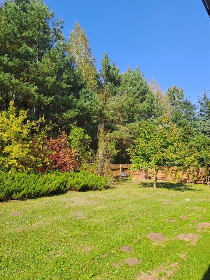 Działka rolno-budowlana Majdan Skrzyniecki. Zdjęcie 4