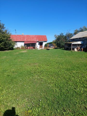 Działka rolno-budowlana Nowogród. Zdjęcie 1