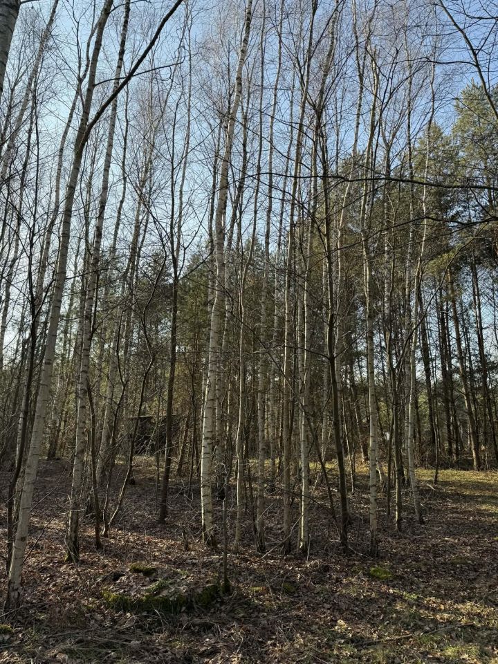 Działka rekreacyjna Gucin. Zdjęcie 2