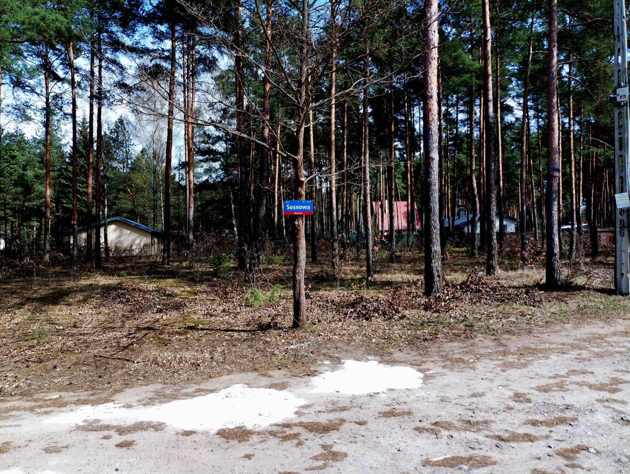 Działka budowlana Marynino, Sosnowa. Zdjęcie 21