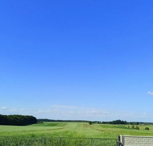 Działka rolna Podleśna Wola Górna. Zdjęcie 1