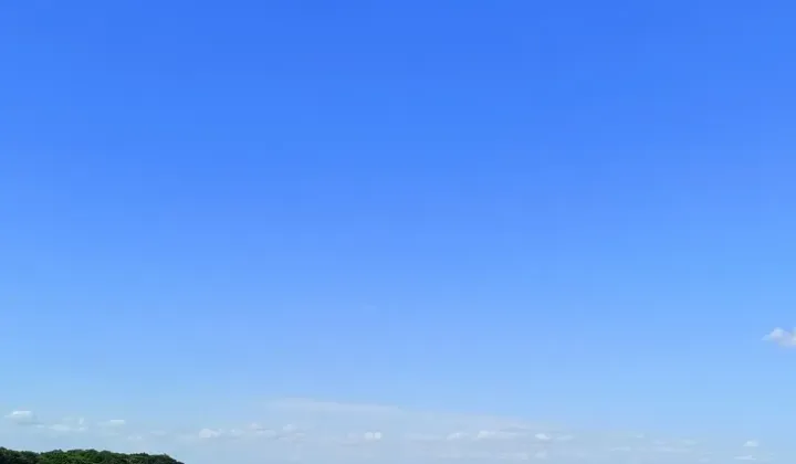 Działka rolna Podleśna Wola Górna