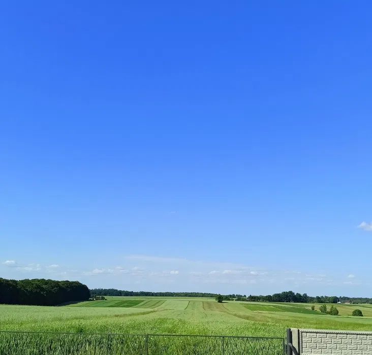 Działka rolna Podleśna Wola Górna. Zdjęcie 1